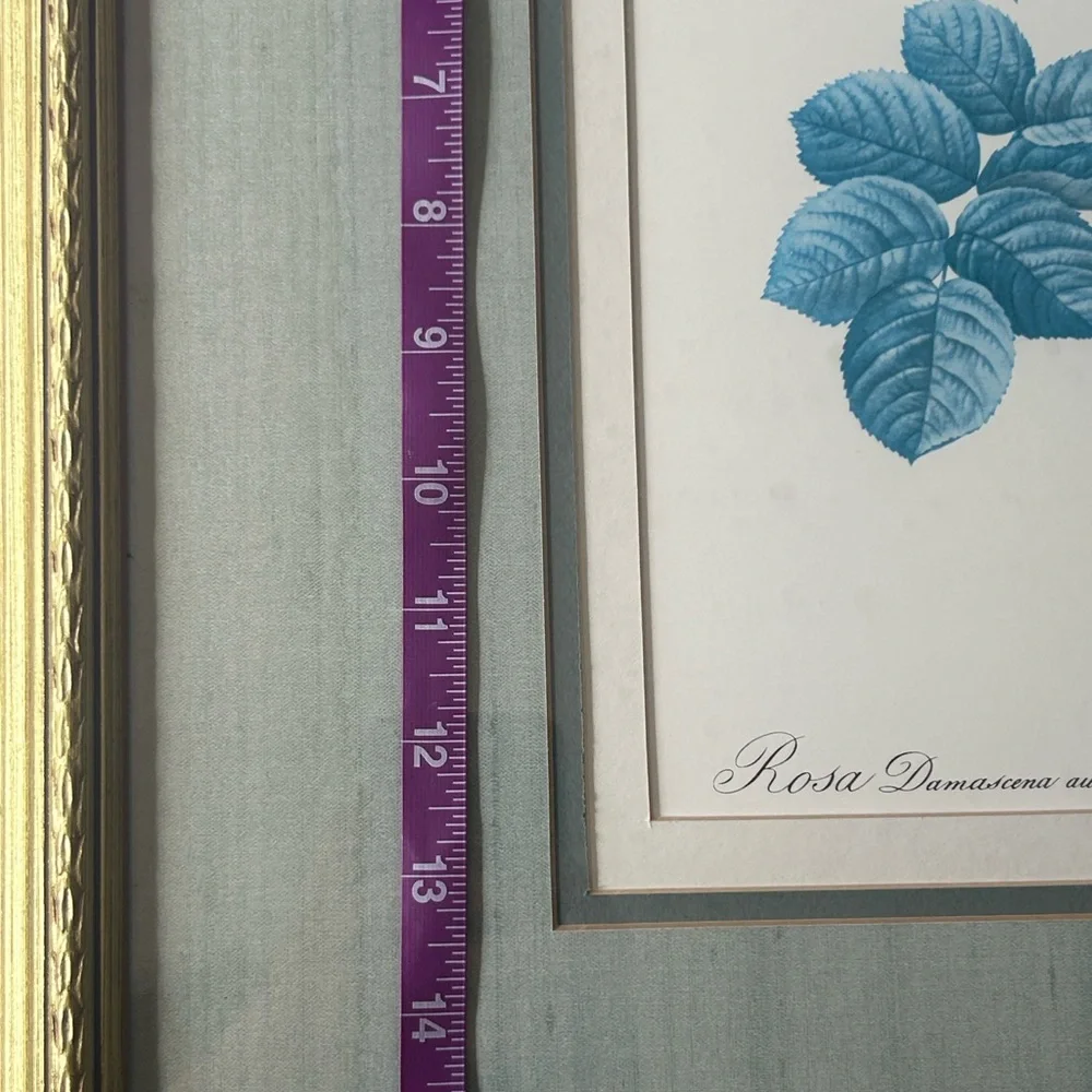 MCM Blue Botanical Rose Prints Gold Frame Grandmillennial Cottage Wall Art Set